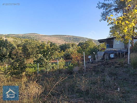 ÇAĞLAR'DAN TOPRAKDERE DE 823m2 MÜSTAKİL TARLA YOL+SU VAR - BURSA YENİŞEHİR fotoğraf 22