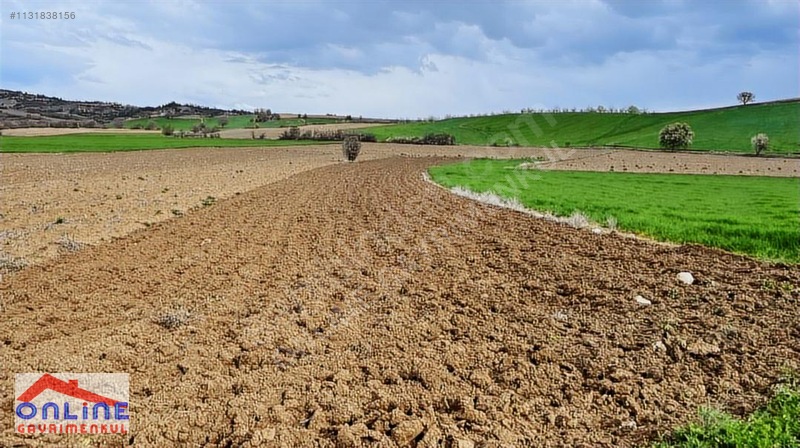 Araç Takaslı - BİLECİK YENİPAZAR fotoğraf 7