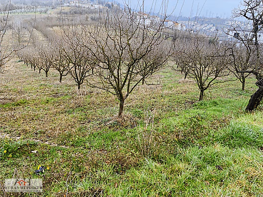 Serdivan Esentepe'de Satılık Arsalar - Yatırım Fırsatı! - SAKARYA SERDİVAN fotoğraf 30