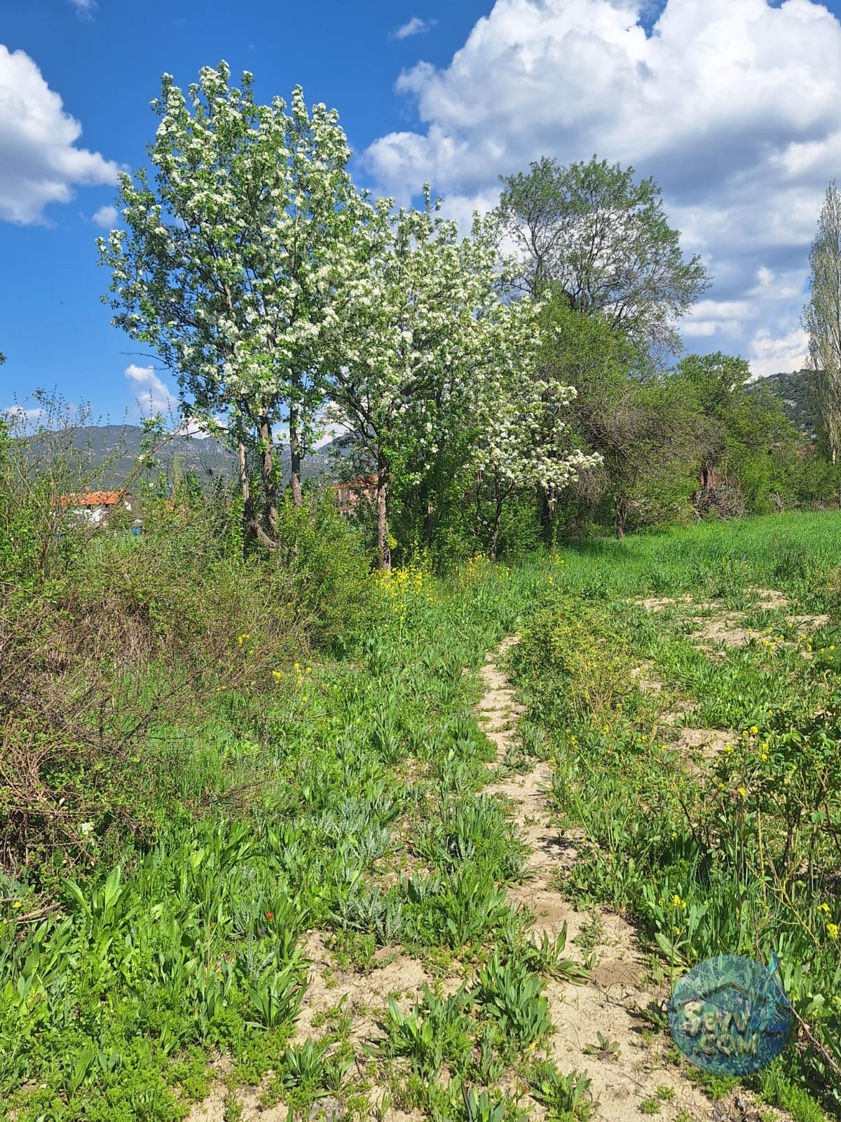 AĞLASUN KİBRİT KÖYÜNDE SATILIK FIRSAT ARAZİ - Burdur Ağlasun fotoğraf 15