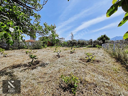 Kemalpaşa Armutlu Satılık 1120 m2 Bahçe - İZMİR KEMALPAŞA fotoğraf 14