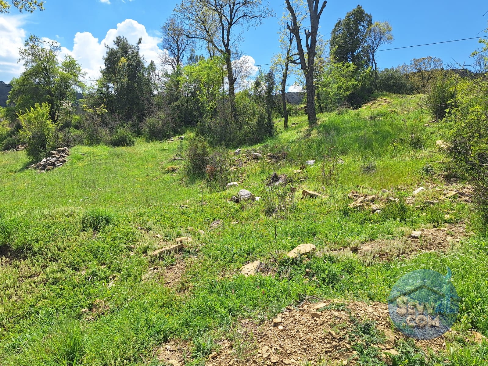 BURDUR AĞLASUN KİBRİT KÖYÜNDE SATILIK KERPİÇ EV VE TARLA - Burdur Ağlasun fotoğraf 23