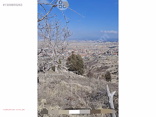 KEMER DE ŞEHİR MANZARALI 7500M2 İÇİNDE 50 KADAR YETİŞMİŞ CEVİZ - BURDUR KEMER fotoğraf 8