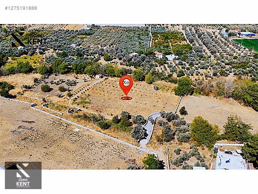 Kemalpaşa Nazarköy Satılık 9501m2 Bahçe - İZMİR KEMALPAŞA fotoğraf 7