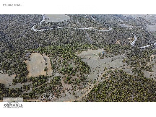 ARAÇ TAKASLI 3.150 M2, İLÇEYE 5 DK MESAFEDE YATIRIM FIRSATI - BİLECİK SÖĞÜT fotoğraf 15