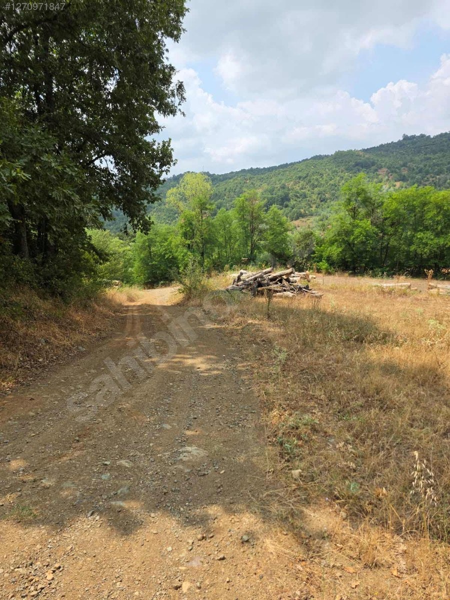 YENİKÖYDE SATILIK TARLA - BURSA İNEGÖL fotoğraf 11