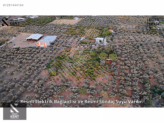 Kemalpaşa Çınar Satılık 8.507 m2 Bahçe - İZMİR KEMALPAŞA fotoğraf 24
