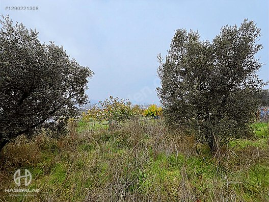 BÖLGE UZMANI HAS EMLAK DENİZ MANZARALI FIRSAT HOBİ BAHÇESİ - BURSA MUDANYA fotoğraf 8