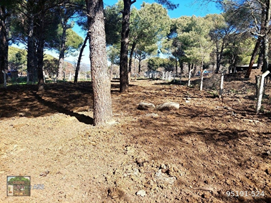 BERGAMA KOZAK YAYLASI YUKARIBEY MAH DE 950 m2 FISTIKLIK - İZMİR BERGAMA fotoğraf 5