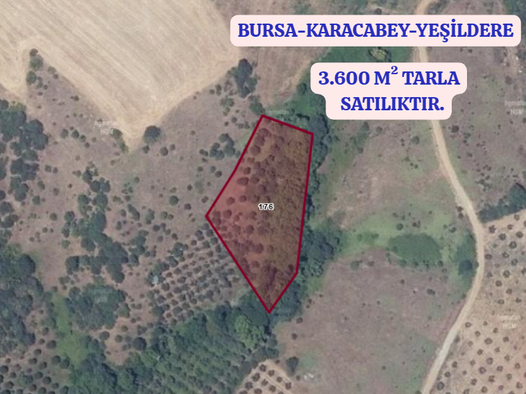 BURSA KARACABEY YEŞİLDERE KÖYÜNDE 3.600 M² TARLA SATILIKTIR - BURSA KARACABEY fotoğraf 2