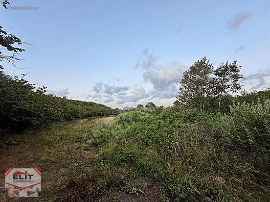 SAKARYA KARASU'DA SATILIK FRSAT KÖY İÇİNDE 635 metre² KUPON ARSA - SAKARYA KARASU fotoğraf 24
