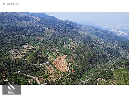 Kemalpaşa Atatürk Kozludere Satılık 6.543 m2 Arazi - İZMİR KEMALPAŞA fotoğraf 15