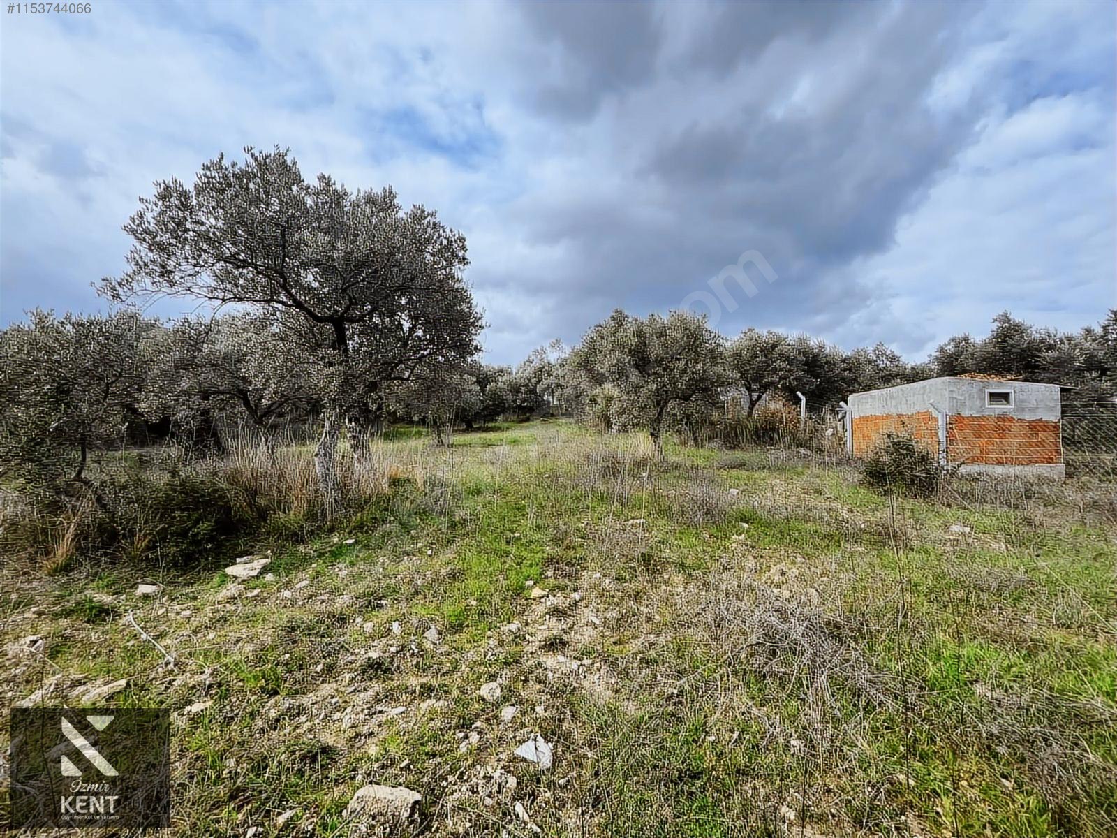 Kemalpaşa Gökyaka Satılık 2700 m2 Bahçe - İZMİR KEMALPAŞA fotoğraf 31