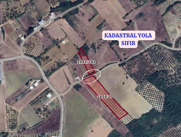 BURSA MUDANYA MESUDİYE KÖYÜNDE 1.483 M² TARLA SATILIKTIR. - BURSA MUDANYA fotoğraf 4