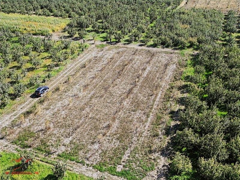SAKARYA GEYVE UMURBEY MAH. 2444,26 M2 SATILIK TARLA - SAKARYA GEYVE fotoğraf 12