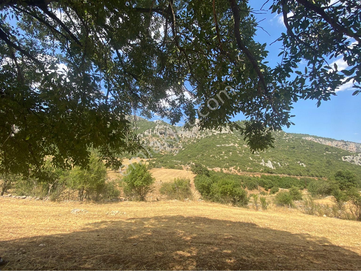 Burdur Ağlasun Hisarköy Satılık Yatırımlık Arazi 📌çakır Emlak - BURDUR AĞLASUN fotoğraf 2