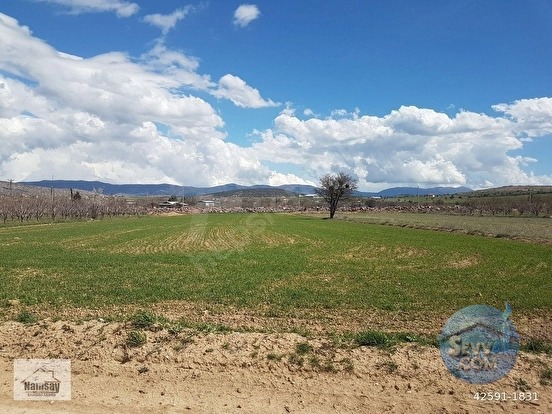 Ticari Tarla Acil Satılık - ANTALYA KORKUTELİ fotoğraf 21