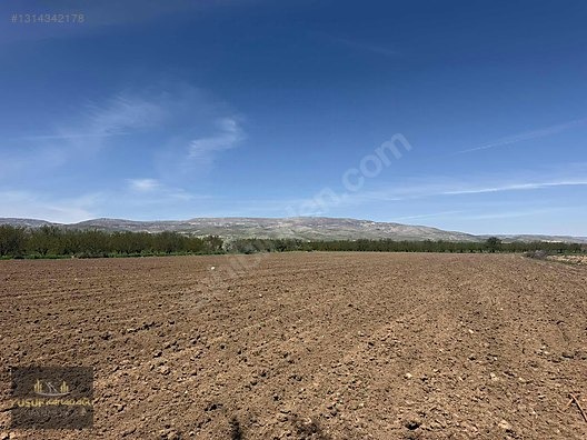 AKÇADAĞ BAHRİ İKİ AYRI TAPULU SATILIK SULU TARLA - MALATYA AKÇADAĞ fotoğraf 5