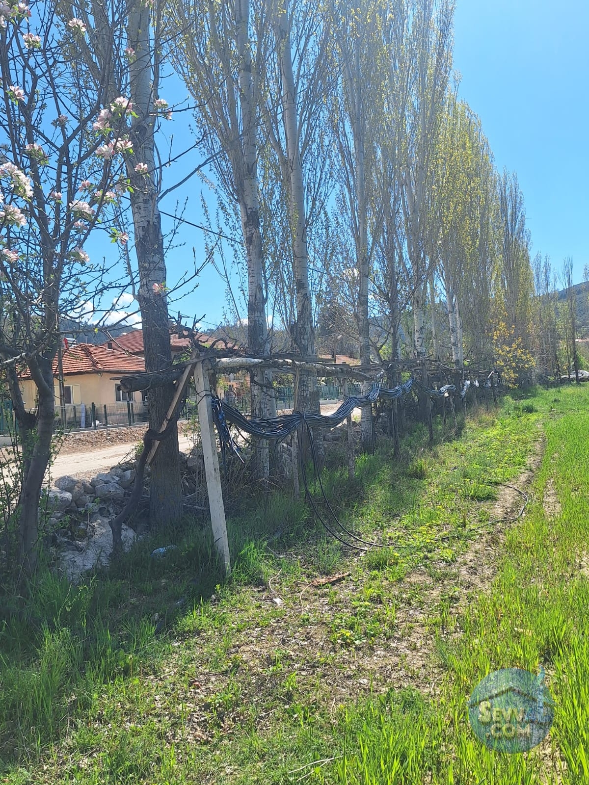 AĞLASUN KİBRİT KÖYÜNDE SATILIK FIRSAT ARAZİ - Burdur Ağlasun fotoğraf 16