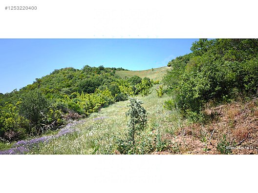 BURSA MUDANYA KAYMAKOBA KÖYÜNDE 537 M TARLA SATILIKTIR - BURSA MUDANYA fotoğraf 12