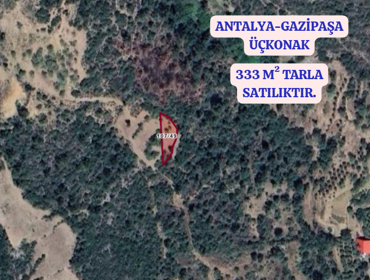 ANTALYA GAZİPAŞA ÜÇKONAK   KÖYÜNDE 333  M² TARLA  SATILIKTIR - ANTALYA GAZİPAŞA fotoğraf 2