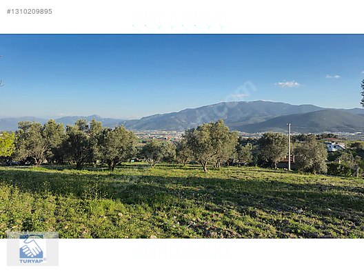 Kemalpaşa Ulucak Villalar Bölgesi Satılık Arazi - İZMİR KEMALPAŞA fotoğraf 20