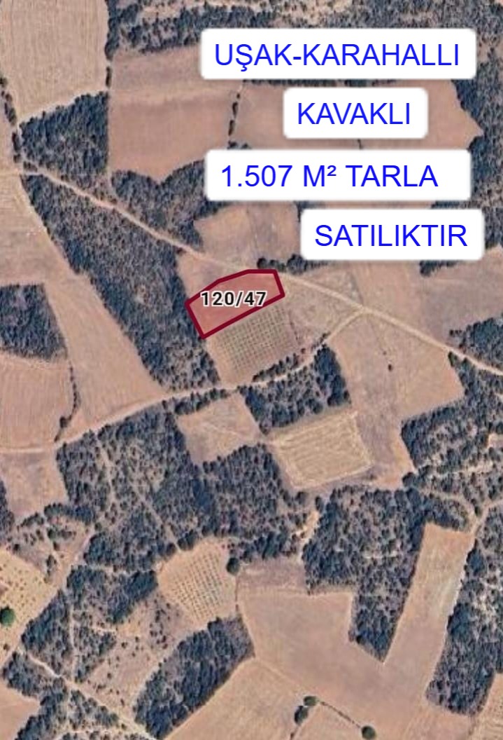 UŞAK KARAHALLI KAVAKLI MAH. 1.507M² TARLA SATILIKTIR - UŞAK KARAHALLI fotoğraf 2