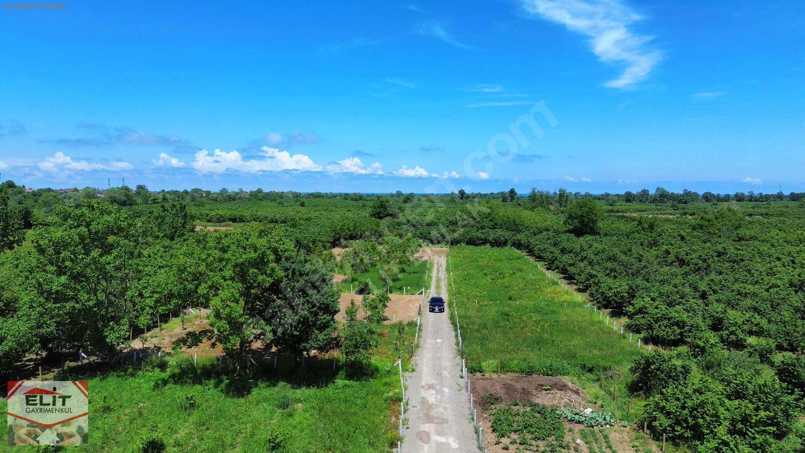 KARASU KUYUMCULUDA SATILIK 463 M2 FIRSAT ARSA - SAKARYA KARASU fotoğraf 29