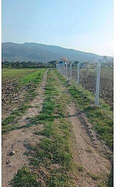 İZMİR ALİAĞA ÇITAK MAHALLESİ’NDE  4.125 M² ZEYTİN AĞAÇLI TARLA SATILIKTIR - İZMİR ALİAĞA fotoğraf 7