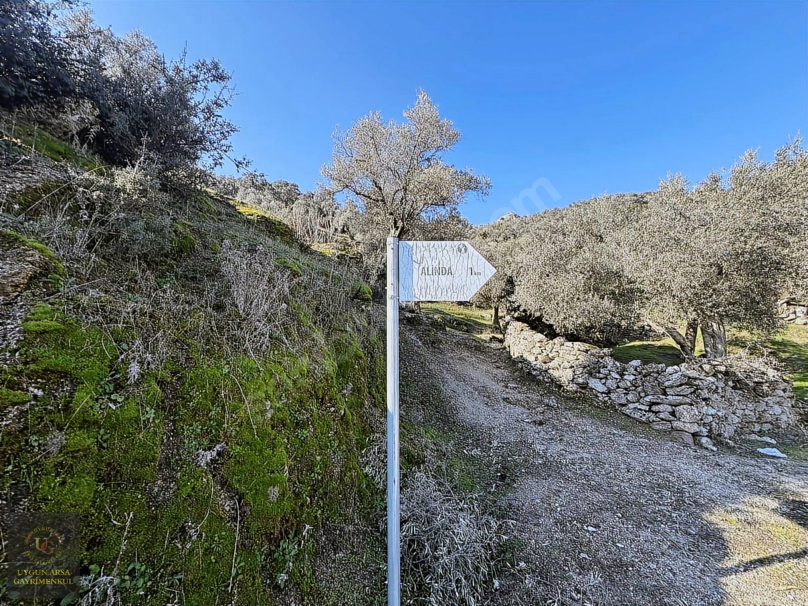 AYDIN KARPUZLU MERKEZ'DE 21.050 M2 ANA YOLA CEPHE ZEYTİNLİK - AYDIN KARPUZLU fotoğraf 29