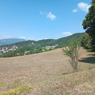 ORMAN İÇİNDE ARAZİ - BOLU GÖYNÜK fotoğraf 7