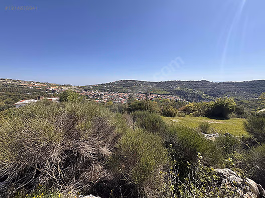 ŞENKÖY MERKEZDE 2893m2 İMARLI ARSA