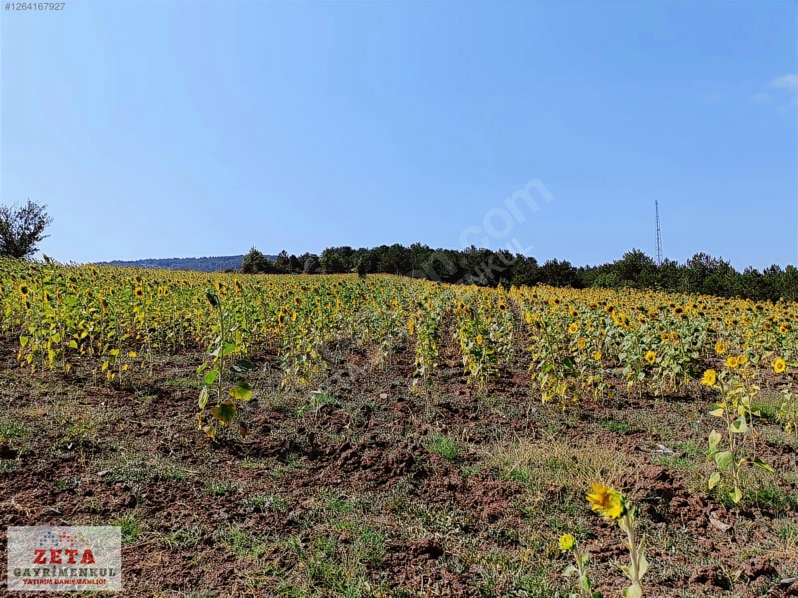 Bilecik Karaahmetler'de Yatırımlık 23.460 m² Satılık Tarla - BİLECİK GÖLPAZARI fotoğraf 3
