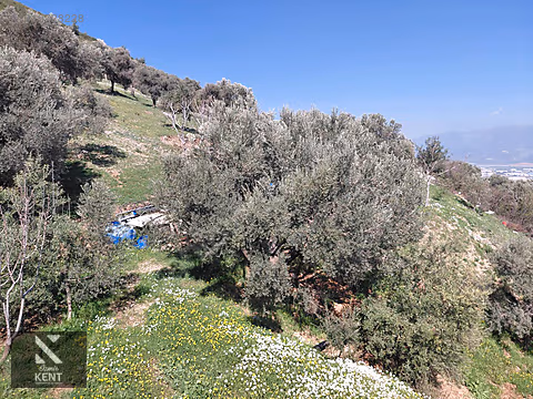 Kemalpaşa Soğukpınar İmar Gelişim Alanında Satılık 2,877m2 Bahçe - İZMİR KEMALPAŞA fotoğraf 28