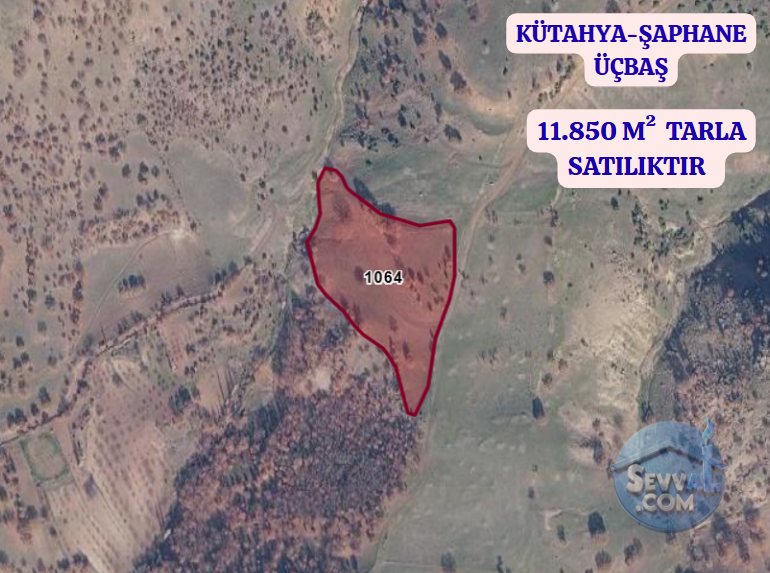 KÜTAHYA ŞAPHANE ÜÇBAŞ  KÖYÜNDE 11.850 M²  TARLA  SATILIKTIR - KÜTAHYA ŞAPHANE fotoğraf 2