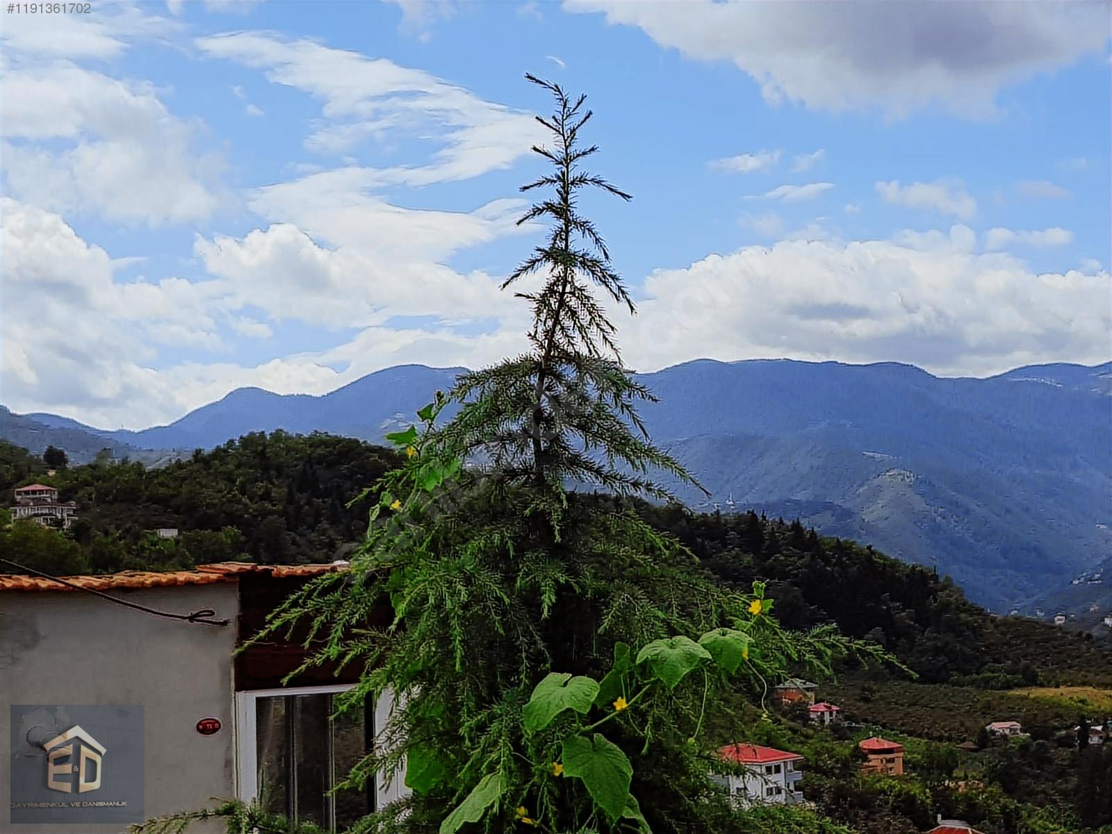 İlan Resmi