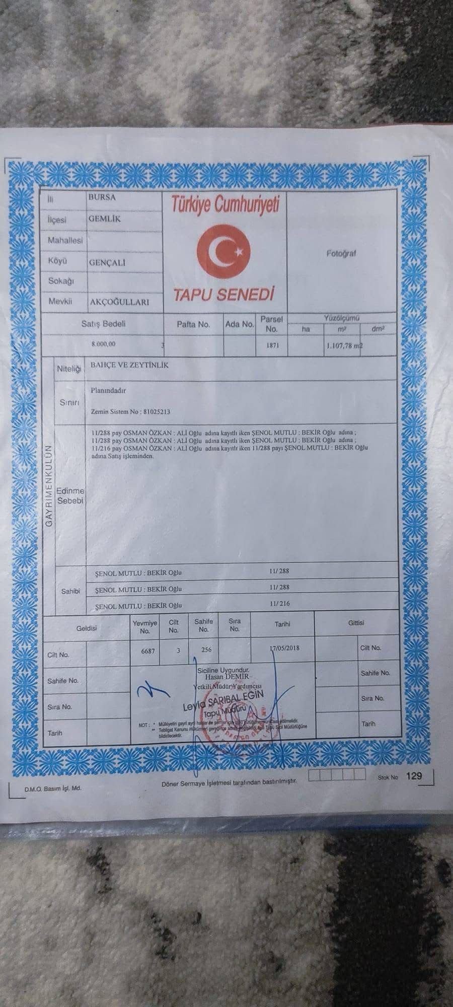 BURSA GEMLİK GENÇALİ SATILIK BAĞ BAHÇE 141m² - BURSA GEMLİK fotoğraf 11