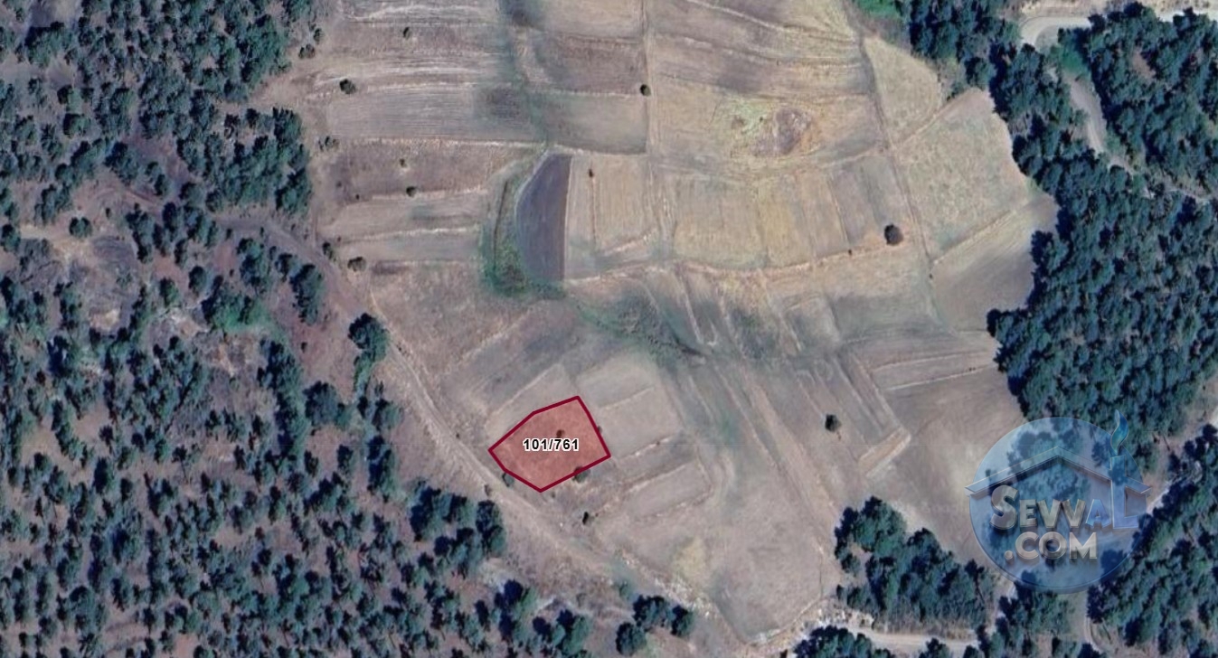 KÜTAHYA GEDİZ ARICA KÖYÜNDE 1.109 M² TARLAMIZ SATILIKTIR. - Kütahya Gediz fotoğraf 10