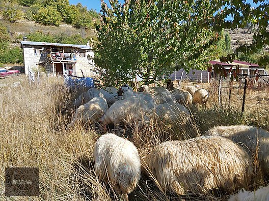 SÖĞÜTÖZÜ YAYLASINDA SATILIK EV VE ARSASI - MERSİN MUT fotoğraf 9