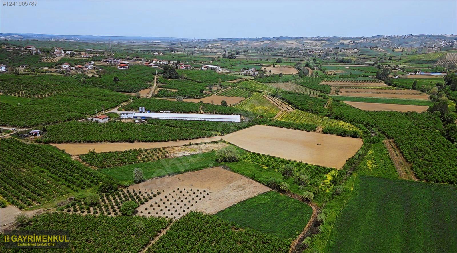 11.752 M² FIRSAT FINDIK BAHÇESİ SAKARYA KAYNARCA ZİAHMET MAH. - SAKARYA KAYNARCA fotoğraf 30