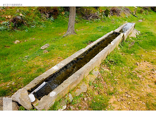 ÇANAKKALE BAYRAMİÇ DALOBA KÖYÜ 4781 m2 TARLA - ÇANAKKALE BAYRAMİÇ fotoğraf 48