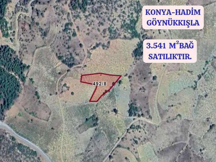 KONYA HADİM GÖYNÜKKIŞLA  KÖYÜ’NDE 3.541 M² BAĞ SATILIKTIR - KONYA HADİM fotoğraf 2