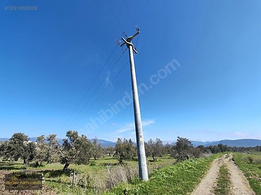 HAVRAN MESCİT MAHALLESİ OTOYOLA YAKIN 10 DÖNÜM SATIILIK ZEYTİNLİ - BALIKESİR HAVRAN fotoğraf 20