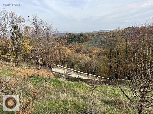 KESTEL LÜTFIYE MH SATILIK 1806M2 TARLA ASVALT YOLA CEPHE - BURSA KESTEL fotoğraf 26