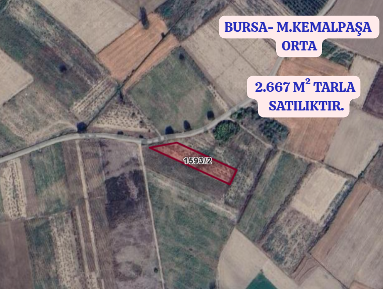 BURSA M.KEMALPAŞA ORTA 2.667 M² TARLA SATILIKTIR. - BURSA MUSTAFAKEMALPAŞA fotoğraf 2