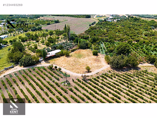 Kemalpaşa Yukarıkızılca Satılık 408 m2 Bahçe - İZMİR KEMALPAŞA fotoğraf 36