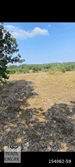 TEKİN EMLAKTAN BİLECİK OSMAELİNDE SATILIK TARLA - BİLECİK OSMANELİ fotoğraf 6
