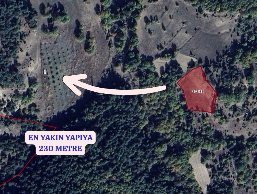 KÜTAHYA EMET ABAŞ  KÖYÜNDE 3.698 M² TARLA SATILIKTIR - KÜTAHYA EMET fotoğraf 3