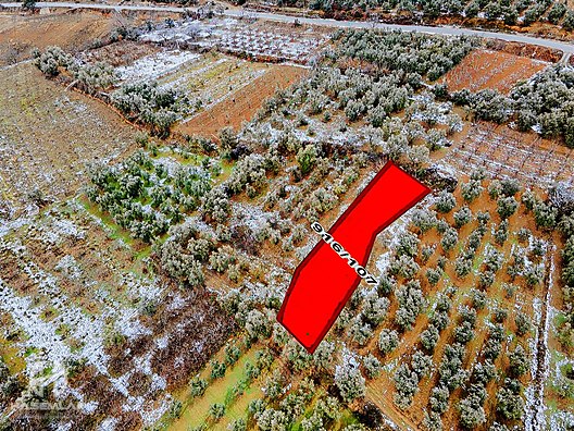 BÖLGE UZMANI HAS EMLAK tan SATILIK TEK TAPU ARAZİ - BURSA İZNİK fotoğraf 34