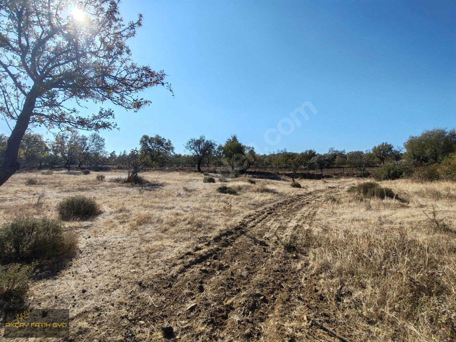 HAVRAN FAZLICA da 3,65 DÖNÜM SATILIK FIRSAT TARLA - BALIKESİR HAVRAN fotoğraf 23